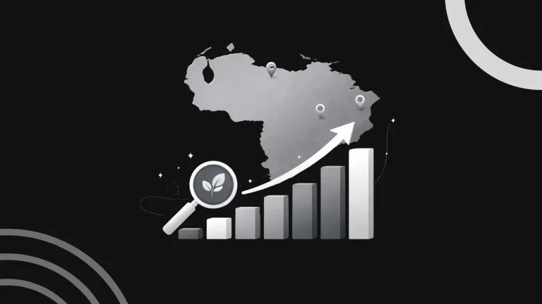SEO Venezuela